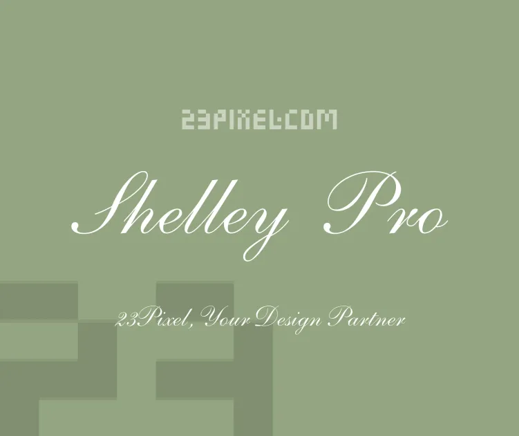 Shelley Script Lt Pro