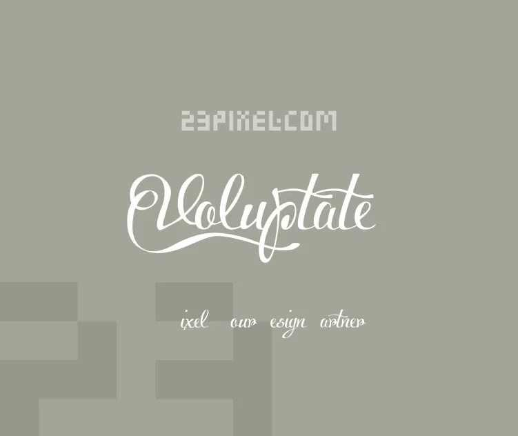 Voluptate Demo