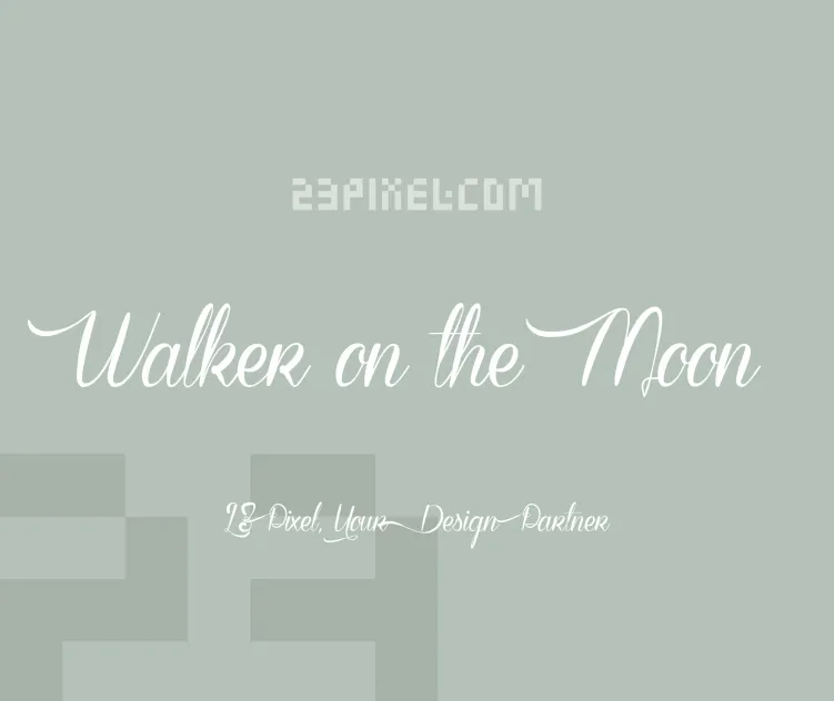 Walker on the Moon