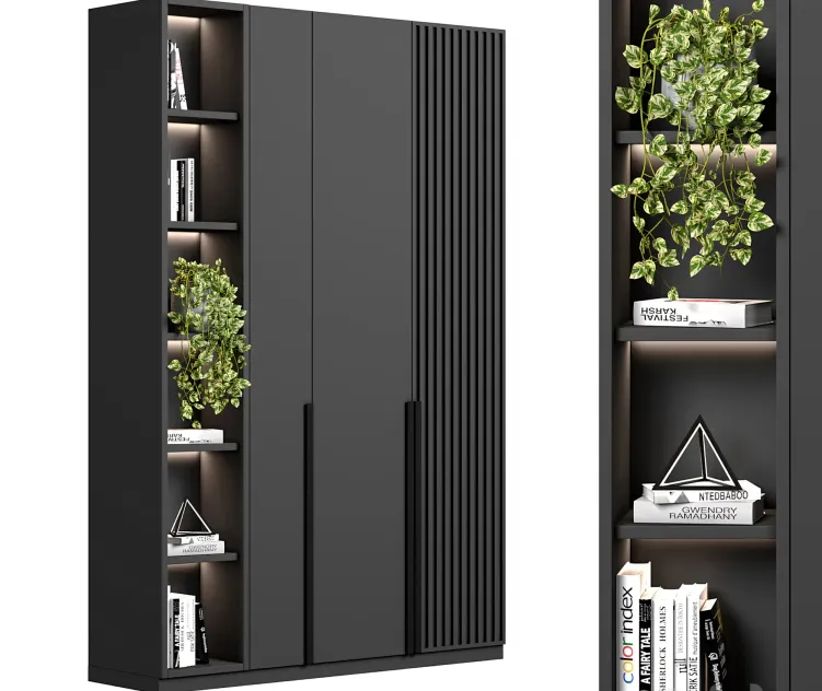 Cabinet with shelves