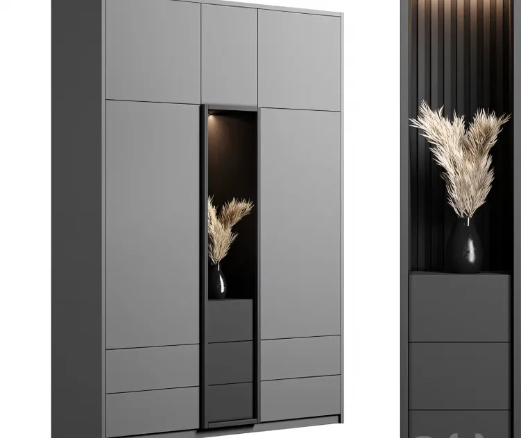 Cabinet with shelves 2