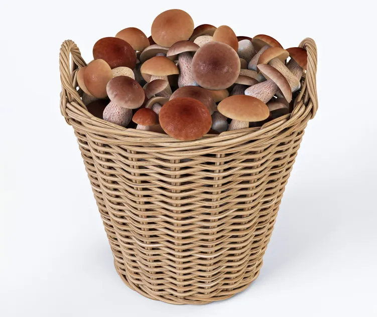 Ikea shopping nipprig with mushrooms