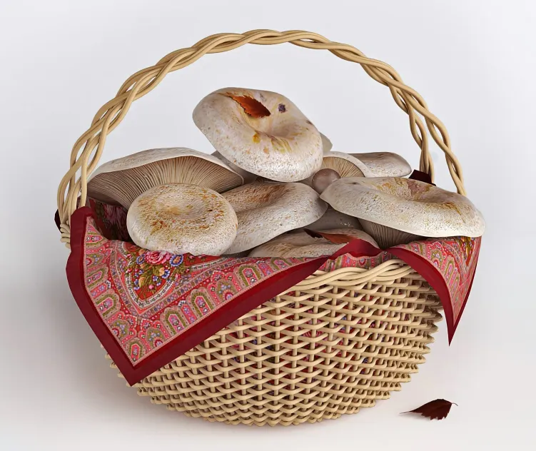 Mushrooms in a basket white mushrooms