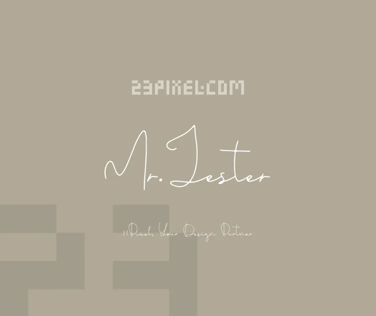 Mr.Jester