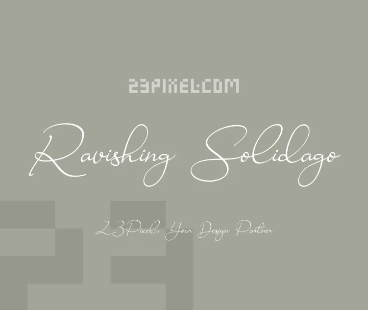 Ravishing Solidago