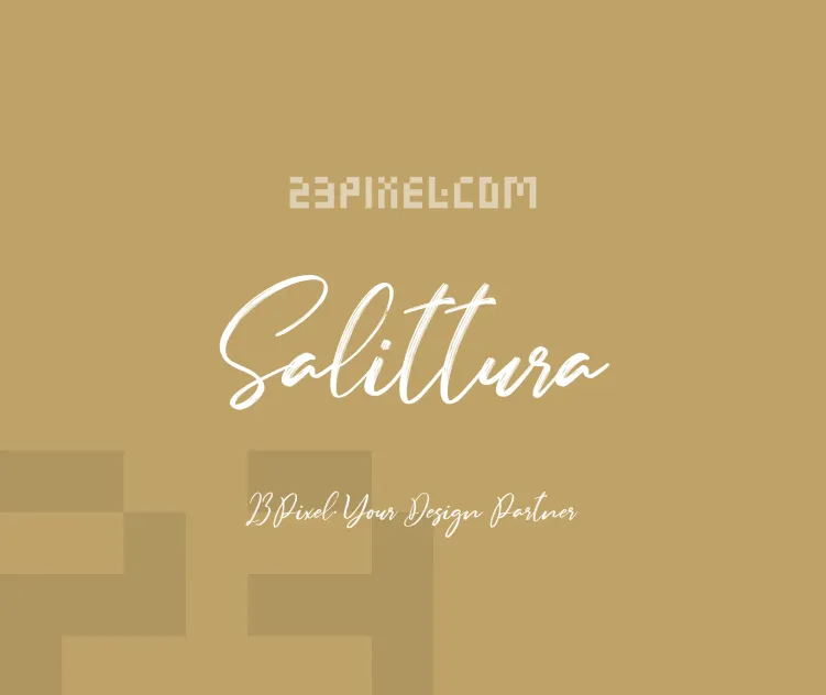 Salittura