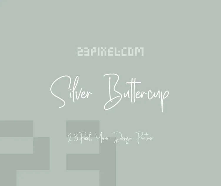 Silver Buttercup