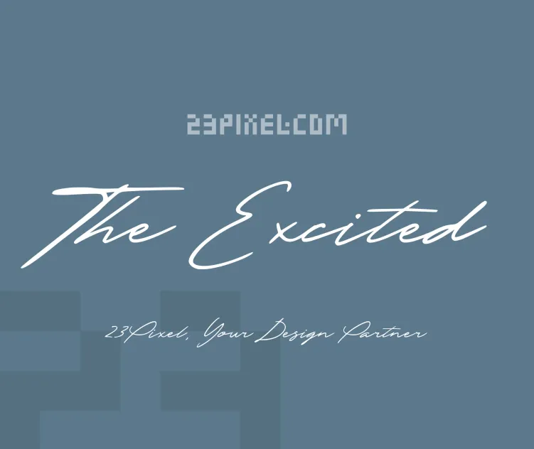 The Excited
