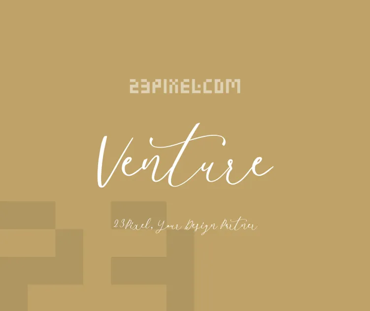 Venture