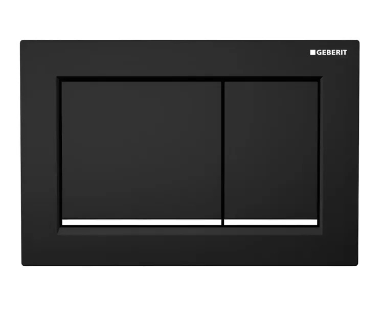 Omega 30 dual flush plate by geberit