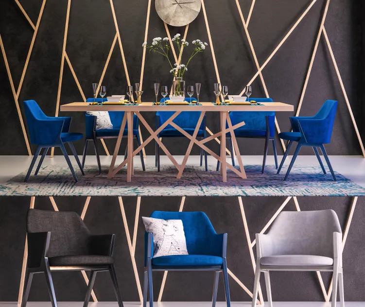 Roche bobois furniture