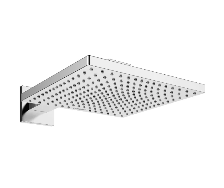 Raindance 300 overhead with shower arm