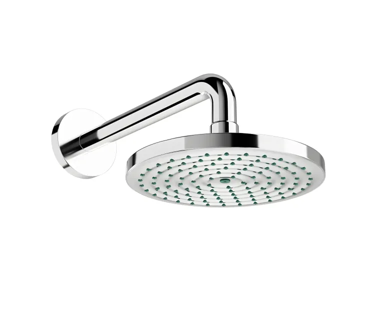 Raindance overhead shower 180 arm