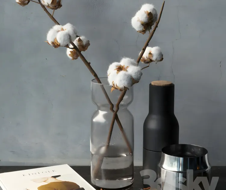 Cotton branch