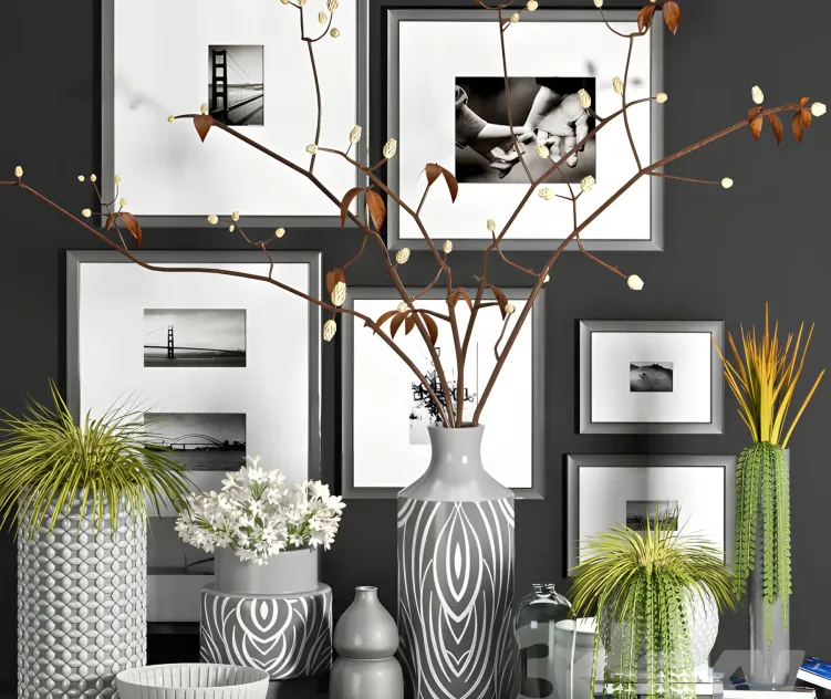 Decorative 79