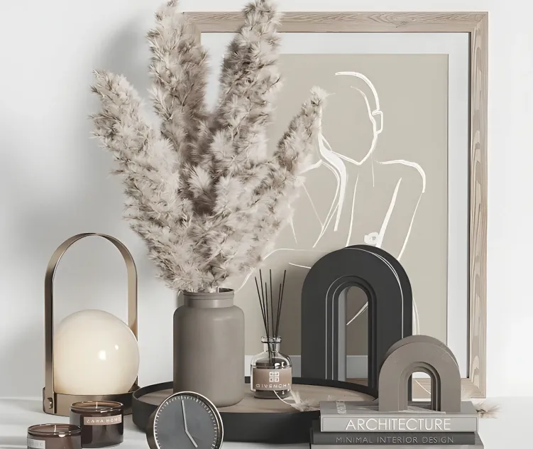 Decorative dried plant