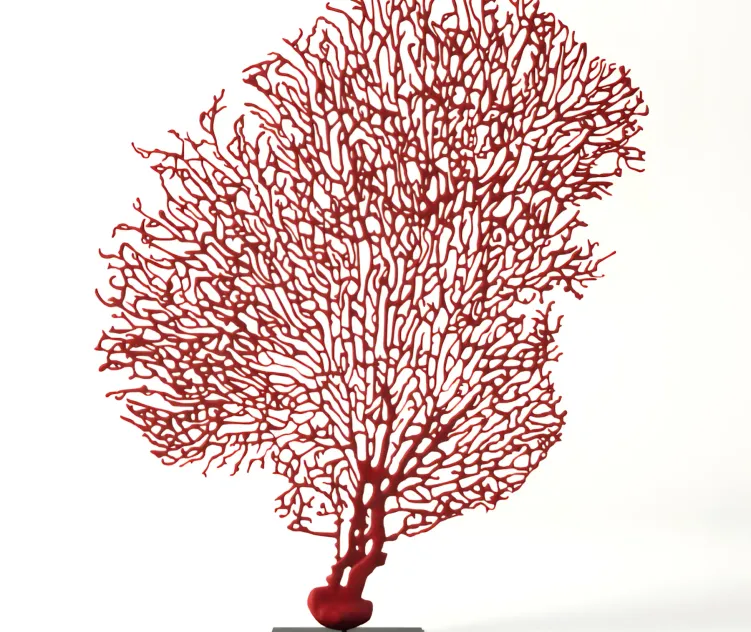 Red gorgonaria decoration