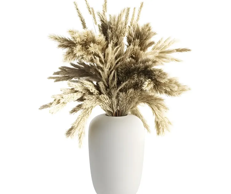 Apothecary vase with pampas grass by kristina dam studio