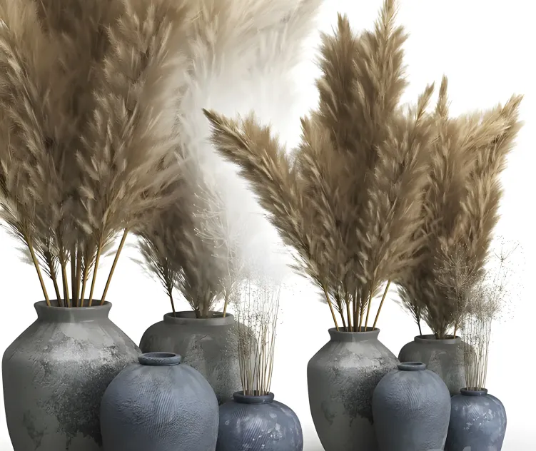 Decorative of clay vases pampas grass