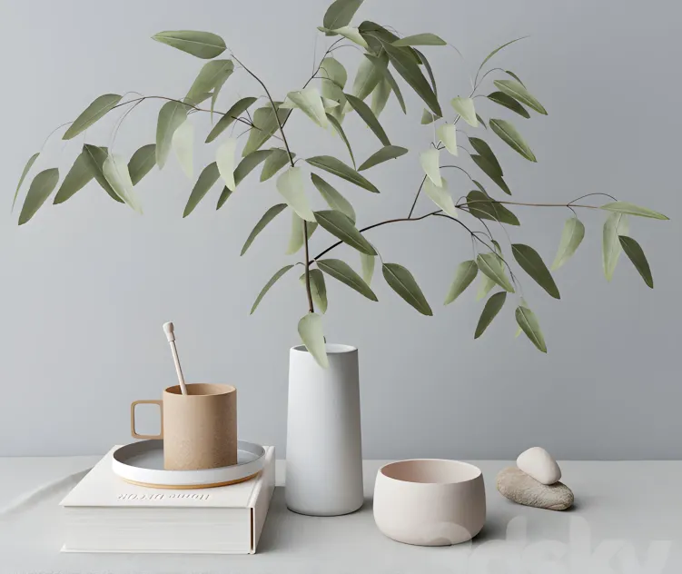 Decorative with eucalyptus branch