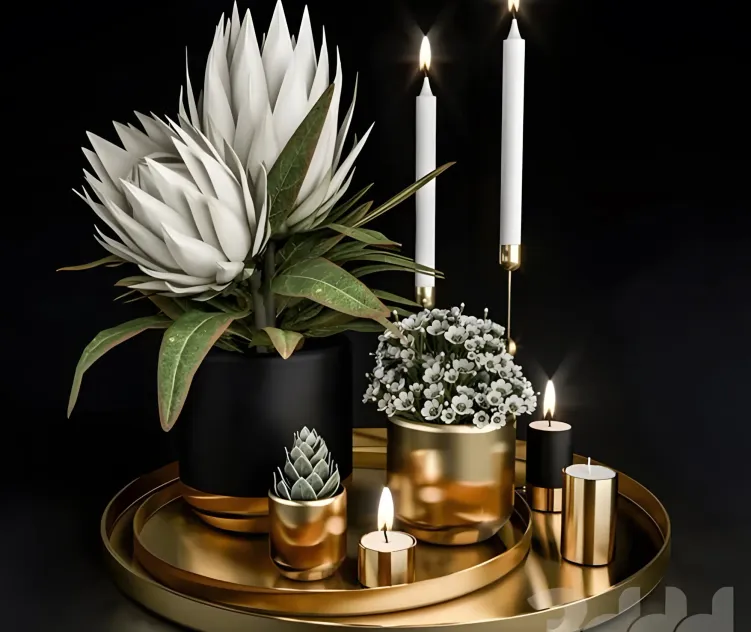 Decorative with potted plants