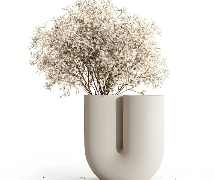 Dry flowers