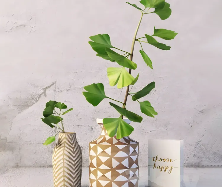 Kolya vase gingo branch