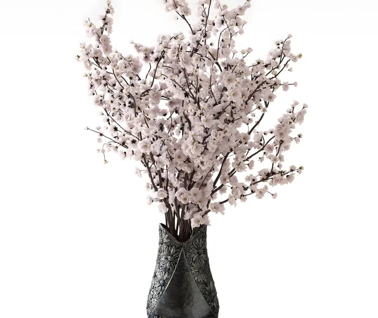 Sakura in a vase