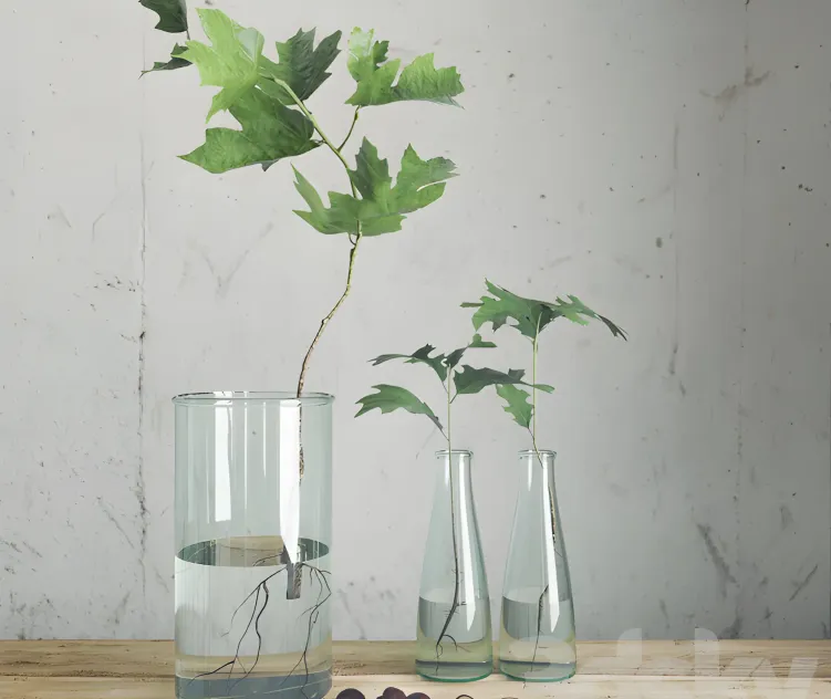 Vase with branches