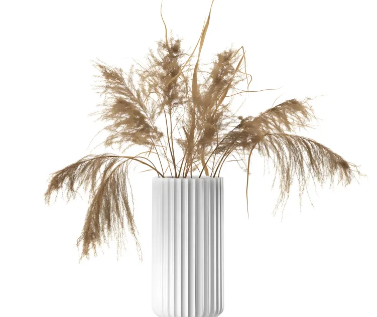 White lyngby vase cm with dried pampas by lyngby porcelaen