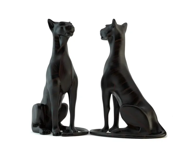 Bagheera
