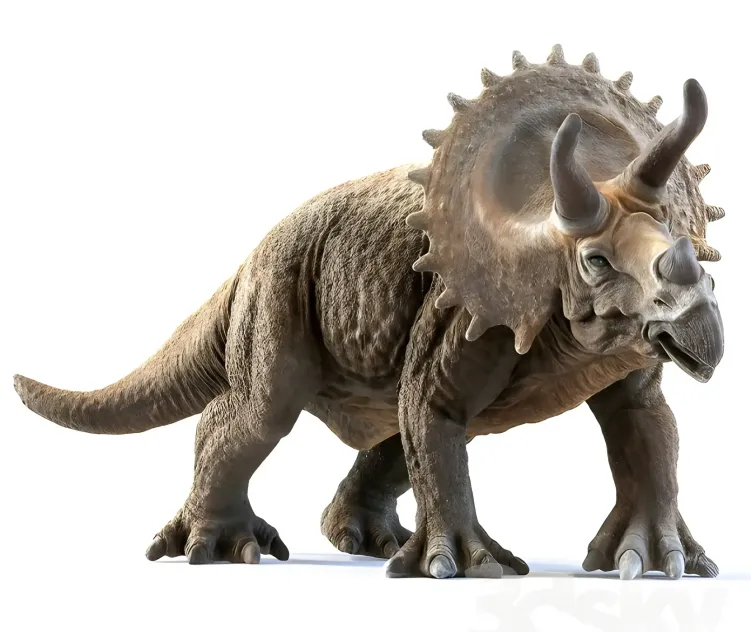 Best of the week triceratops