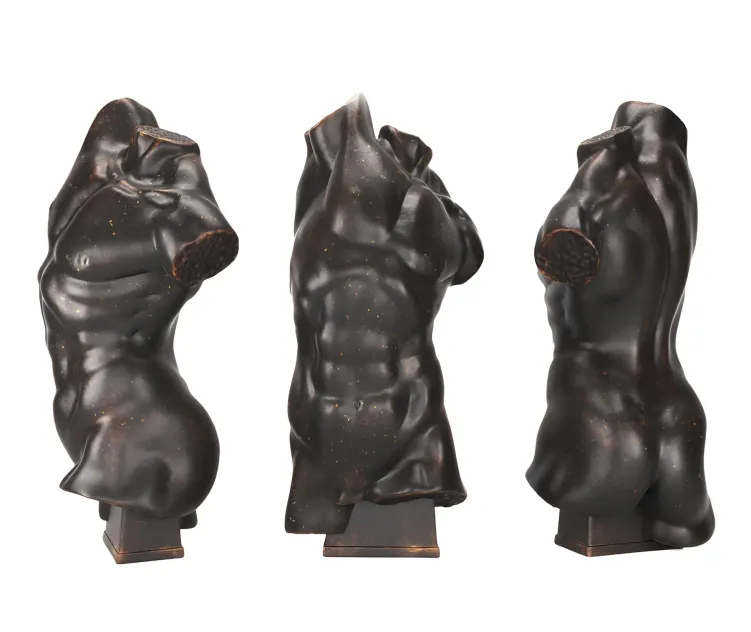 Chelini torso