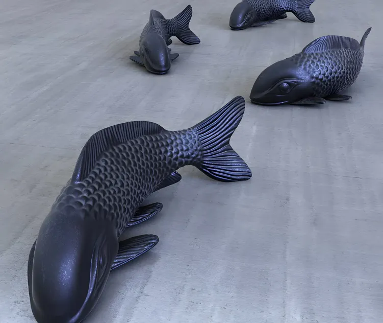 Fish