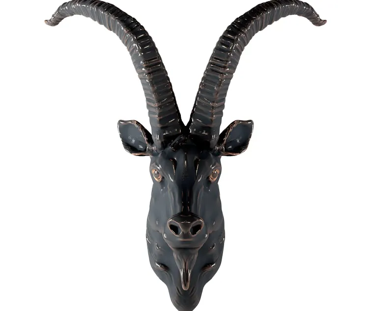 Head of a mountain goat