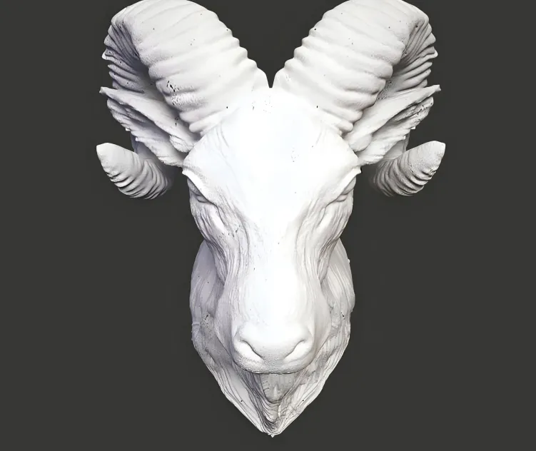 Plaster head ram