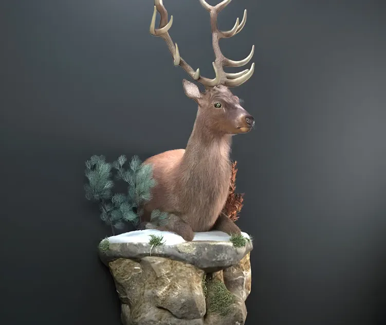 Resting deer
