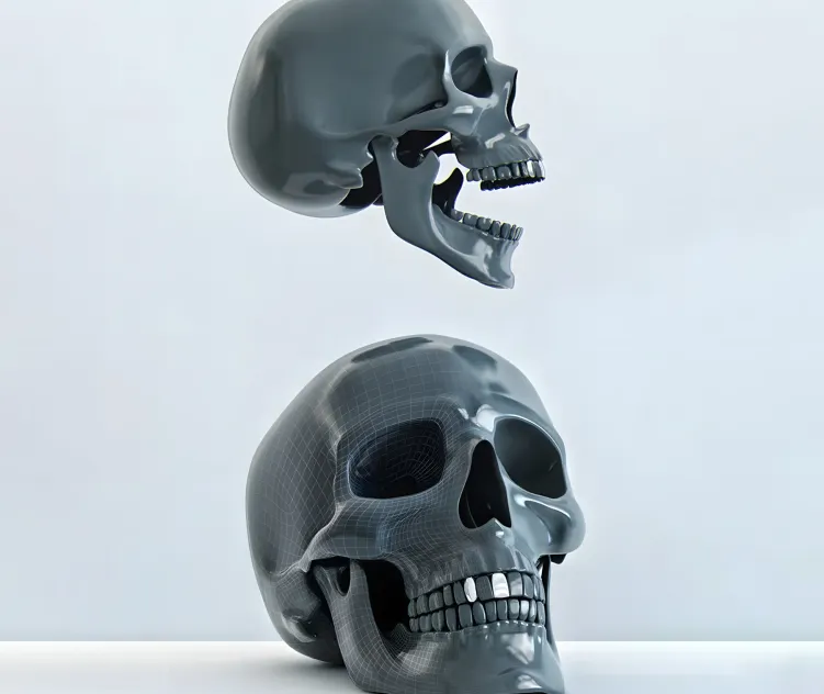 Skull