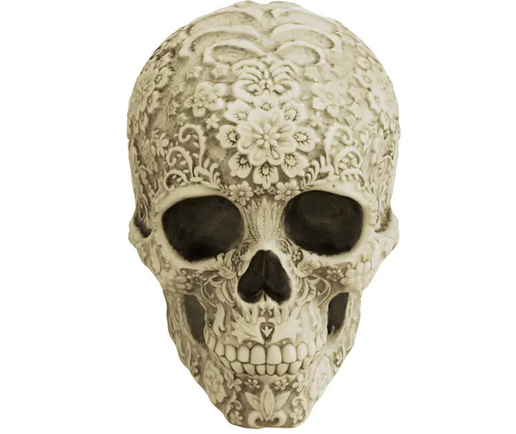 Skull 2