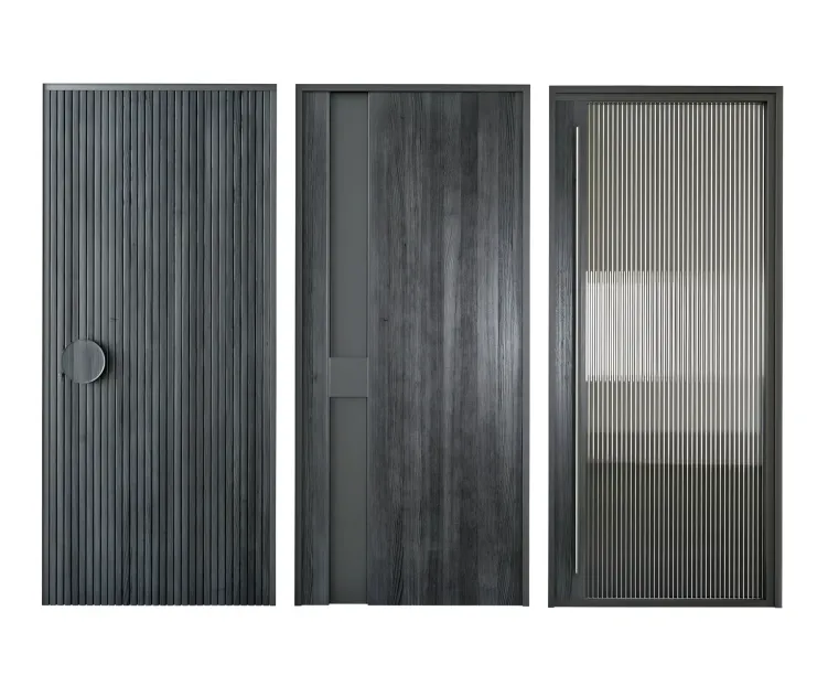 Black modern entrance door