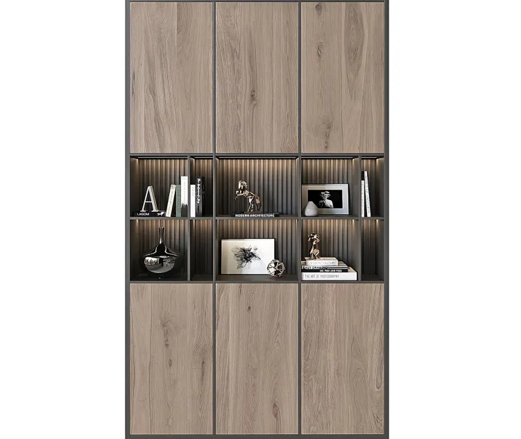 Shelving unit in modern style