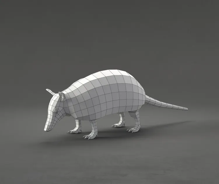 Armadillo