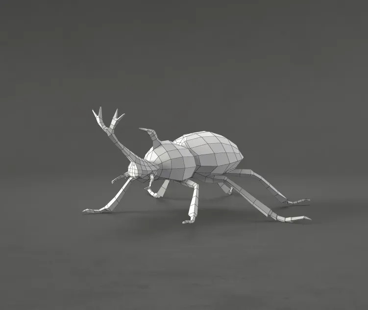 Beetle