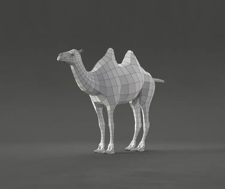 Camel