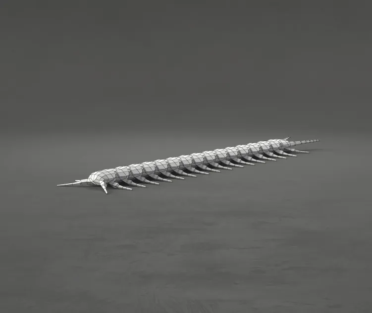 Centipede