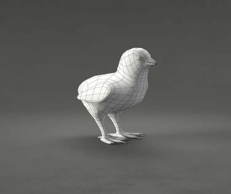 Chick