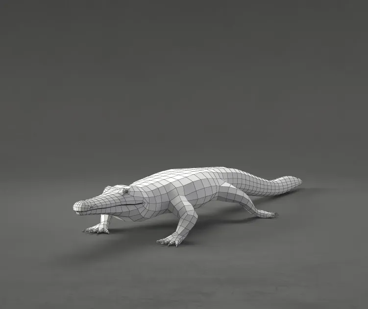 Crocodile