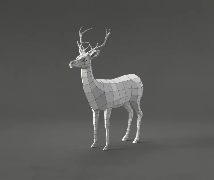 Deer