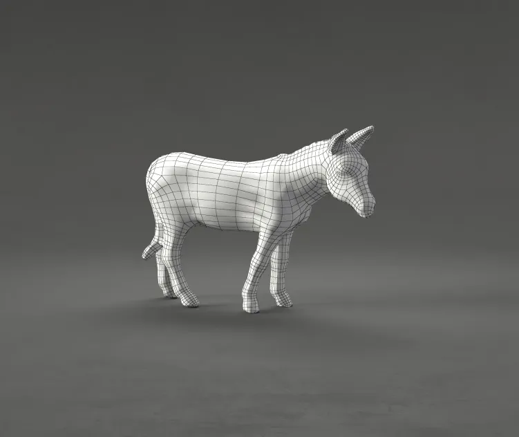 Donkey
