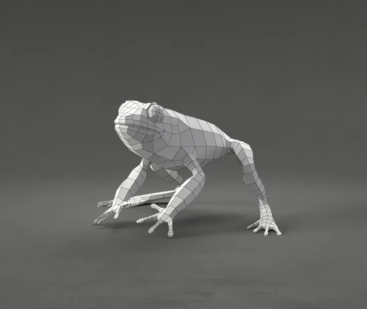 Frog